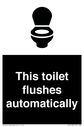 this-toilet-flushes-automatically~